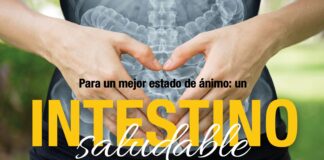 Para un mejor estado de ánimo: un intestino saludable