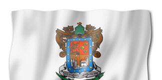 Bandera de Michoacán