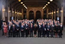 empresarios nórdicos