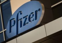 transferencia de tecnología