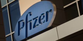 transferencia de tecnología