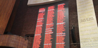 Dictamen por el que se expide la Ley para el Fomento de la inversión en Infraestructura Estratégica para el Desarrollo con Bienestar - Particular