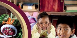 Guías Alimentarias Saludables y Sostenibles para la Población Mexicana