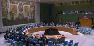 Reunión del Consejo de Seguridad de la ONU