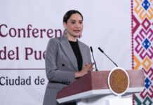 Niega gobierno venta de la Colección Gelman; arrastra décadas de disputas legales por su patrimonio