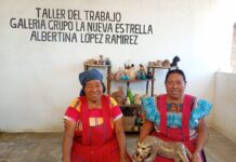 TALLER DEL TRABAJO LA ESTRELLA ALBERTINA