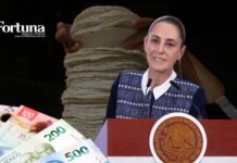 Sheinbaum niega aumento en la tortilla: “no hay razón, el maíz está en su nivel más bajo” Luego de que el sector tortillero advirtiera sobre un incremento en el precio, la presidenta Claudia Sheinbaum rechazó que exista justificación para un alza y aseguró que los costos del maíz se encuentran en niveles históricamente bajos.