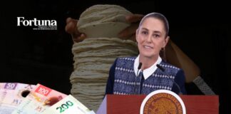 Luego de que el sector tortillero advirtiera sobre un incremento en el precio, la presidenta Claudia Sheinbaum rechazó que exista justificación para un alza y aseguró que los costos del maíz se encuentran en niveles históricamente bajos.