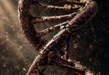 Columna | Al Aire - Morena: Crisis genética