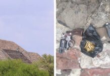 Cartuchos Águila, de fabricación nacional y “más accesibles”, en el centro de la investigación por ataque en Teotihuacán El ataque armado registrado en la zona arqueológica de Teotihuacán colocó en el centro de la investigación un elemento clave: los cartuchos utilizados por el agresor eran de la marca Águila, de fabricación nacional y considerados más accesibles que otros calibres, confirmaron autoridades del Estado de México. El fiscal José Luis Cervantes Martínez detalló que todos los indicios balísticos recuperados —tanto en la escena como en las víctimas— corresponden al calibre .38 especial, y subrayó que las municiones son producidas en México. Explicó además que este tipo de cartuchos se ubica en una categoría intermedia: pueden estar asociados a corporaciones de seguridad, pero no son de los calibres de mayor poder, lo que los hace más accesibles. “Son cartuchos de fabricación nacional… se comercializan en las instancias correspondientes”, señaló, al advertir que su origen podría estar tanto en canales formales como en mercados informales o posibles desvíos, lo cual ya es parte de las líneas de investigación. Durante el procesamiento de la escena, peritos localizaron más de 50 cartuchos útiles dentro de una bolsa de plástico que el agresor portaba mientras realizaba la agresión. A estos se suman los cartuchos contenidos en el arma. En total, las autoridades estiman que al menos 14 disparos fueron efectuados, de acuerdo con los casquillos percutidos y los impactos registrados. El atacante utilizó un revólver calibre .38 especial de seis alveolos, con el que tuvo oportunidad de recargar en al menos dos ocasiones, lo que le permitió sostener el ataque durante varios minutos. También portaba un arma punzocortante de la marca Smith & Wesson, además de otros objetos que evidencian planeación previa. El secretario de Seguridad federal, Omar García Harfuch, confirmó que el arma tenía una antigüedad considerable, posiblemente anterior a 1968, lo que dificulta rastrear su origen. Sin embargo, el análisis de los cartuchos podría ofrecer más pistas sobre su procedencia. ¿Qué es la marca Águila? La marca Águila es una de las principales fabricantes de cartuchos en el país y forma parte de Industrias Tecnos, con sede en Morelos. Produce municiones para distintos calibres, tanto de uso civil como institucional, y cuenta con distribución a nivel nacional e internacional. En México, sus productos se comercializan a través de canales autorizados y están sujetos a regulación. No obstante, calibres como el .38 especial se ubican en una franja menos restringida que otros de mayor poder, lo que los hace relativamente más accesibles y explica su presencia frecuente en investigaciones balísticas. Contexto del ataque De acuerdo con la cronología oficial, los hechos iniciaron alrededor de las 11:20 horas, cuando se reportó a una persona armada que amagaba a visitantes en la zona de la Pirámide de la Luna. Minutos después, elementos de la Guardia Nacional y corporaciones locales acudieron al lugar. Al notar la presencia de las fuerzas de seguridad, el agresor abrió fuego. Los elementos repelieron la agresión y lograron herirlo en una pierna; sin embargo, el sujeto continuó desplazándose por el sitio hasta que, al verse rodeado, se quitó la vida. El saldo fue de 13 personas lesionadas, siete de ellas por impacto de bala, y una mujer de nacionalidad canadiense que perdió la vida. Entre las víctimas había turistas de distintas nacionalidades. Las investigaciones apuntan a que el atacante actuó solo y que planeó el ataque con anticipación. En sus pertenencias se encontraron notas, manuscritos y referencias a hechos violentos ocurridos en otros países. Perfil del agresor Las autoridades señalaron que, de manera preliminar, el agresor presentaba un perfil con alteraciones de carácter mental. El fiscal explicó que los indicios recabados apuntan a una posible psicopatía o padecimiento psicológico, incluso con referencias a ideas ajenas a la realidad. En esa línea, se investiga si el ataque responde a un fenómeno de imitación de actos violentos ocurridos en otros contextos internacionales. Municiones bajo la lupa El uso de cartuchos fabricados en México y relativamente accesibles ha encendido alertas, al evidenciar que el agresor pudo reunir una cantidad considerable de municiones sin ser detectado. Aunque el calibre .38 especial no es de los más potentes, su disponibilidad lo convierte en una opción viable para civiles en ciertos contextos. Por ello, las autoridades no descartan que los cartuchos hayan sido adquiridos en el mercado informal o mediante algún tipo de filtración. El caso ha reabierto el debate sobre los controles en la venta y distribución de municiones en el país, particularmente aquellas de producción nacional, así como la necesidad de reforzar medidas de seguridad en espacios públicos y turísticos. Tras los hechos, el gobierno federal anunció el fortalecimiento de la seguridad en zonas arqueológicas, con mayor presencia de la Guardia Nacional y la eventual implementación de controles de acceso, en respuesta a un ataque considerado inédito en este tipo de sitios.