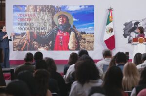 El Gobierno de México presentó este miércoles un programa integral para cancelar y reestructurar deudas de la Financiera Nacional de Desarrollo Agropecuario, Rural, Forestal y Pesquero (FND), con el que se busca resolver prácticamente la totalidad de su cartera vencida, beneficiar a cerca de 70 mil personas y avanzar en el cierre ordenado de la institución en proceso de liquidación.

Durante la conferencia matutina, la directora general del Instituto para Devolver al Pueblo lo Robado (INDEP), Mónica Fernández Balboa, explicó que el programa surge tras un diagnóstico profundo que evidenció irregularidades en la administración de la cartera, particularmente en el periodo reciente de transición (2023–2025).

Entre las anomalías detectadas destacan prácticas de cobranza indebida, incluyendo casos de extorsión; garantías mal constituidas o inexistentes; concentración de litigios en un número reducido de despachos; así como el vencimiento de garantías sin adecuada gestión. Estas condiciones, dijo, contribuyeron a que miles de créditos se volvieran impagables.

A partir de este análisis, y por instrucción de la presidenta Claudia Sheinbaum, se diseñó un esquema para atender de manera definitiva a las personas deudoras, priorizando a los sectores más vulnerables: mujeres productoras y pequeños agricultores.

Atención prioritaria a mujeres productoras

El programa contempla apoyar a 13 mil 404 mujeres con créditos activos en la FND. De ellas, 11 mil 761 —cuyos adeudos son menores a 45 mil UDIS (aproximadamente 397 mil 551 pesos)— recibirán la cancelación total de su deuda.

Para el resto, 1 mil 639 mujeres con créditos superiores a ese monto y hasta 10 millones de pesos, se implementará un esquema de descuento del 30 por ciento sobre el saldo total, junto con la reestructuración del 70 por ciento restante.

Fernández Balboa subrayó que muchas de estas mujeres fueron utilizadas como prestanombres para acceder a créditos, quedando posteriormente con la carga financiera sin haber sido beneficiarias reales de los recursos. Con este programa, se estima atender al 99.97 por ciento de las mujeres deudoras de la Financiera.

Apoyo masivo a pequeños productores

El plan también beneficiará a 46 mil 567 pequeños productores. De ellos, 29 mil 299 —con adeudos menores a 28 mil UDIS (alrededor de 247 mil 966 pesos)— accederán a la cancelación total de sus créditos.

En tanto, 17 mil 268 productores con deudas superiores a ese umbral y menores a 10 millones de pesos podrán acogerse al esquema de descuento del 30 por ciento y reestructuración del saldo restante.

En conjunto, estas acciones permitirán atender entre el 99 y el 99.9 por ciento de las personas acreditadas de la FND. Solo quedarán fuera alrededor de 330 casos, correspondientes a créditos superiores a 10 millones de pesos.

Beneficios adicionales y fin de litigios

El programa no solo contempla la reducción o cancelación de adeudos, sino también una serie de beneficios adicionales para los acreditados:

Se entregará una carta finiquito que acredita la inexistencia de deuda.
Se realizará el desistimiento de acciones legales en curso.
Se liberarán las garantías asociadas a los créditos.
Se actualizará la situación de los beneficiarios en el Buró de Crédito.
Se facilitará el acceso a nuevos esquemas de financiamiento.

En particular, se pondrá fin a miles de procesos judiciales que, según se explicó, eran utilizados por despachos de cobranza para presionar e intimidar a los deudores.

Esquema financiero y viabilidad

La subsecretaria de Hacienda y Crédito Público, María del Carmen Bonilla Rodríguez, destacó que el programa fue diseñado bajo criterios de responsabilidad hacendaria y no implicará recursos presupuestarios adicionales.

El esquema de reestructuración contempla que, tras aplicar el descuento del 30 por ciento —que incluye capital e intereses—, el 70 por ciento restante podrá liquidarse en plazos de 12, 24 o 36 meses, con pagos fijos y una tasa de interés nominal anual de 8.5 por ciento.

Además, los beneficiarios tendrán la opción de liquidar de forma anticipada el total restante sin generar intereses adicionales, lo que les permitirá obtener de inmediato su carta de finiquito.

Implementación y acceso

El programa entrará en vigor tras la publicación de sus bases y lineamientos en el Diario Oficial de la Federación. A partir de ese momento, se realizará un corte en los saldos de los créditos, que será la referencia para determinar los beneficios aplicables.

Las personas interesadas deberán acudir de manera personal a alguno de los 43 Centros de Atención habilitados en todo el país, con identificación oficial, CURP y datos de su crédito. Las autoridades enfatizaron que todos los trámites serán gratuitos, individuales y sin intermediarios.

Además, se permitirá que los acreditados acudan al centro más cercano a su ubicación, independientemente del estado donde hayan contratado el crédito.

Crítica a prácticas del pasado

En su intervención, la presidenta Claudia Sheinbaum señaló que este programa busca corregir prácticas heredadas que derivaron en deudas impagables y en esquemas de cobranza agresivos.

Denunció que, incluso durante el proceso de liquidación de la Financiera, se mantuvieron mecanismos de cobro mediante despachos externos que recurrían a amenazas constantes contra los deudores.

“En México la gente quiere pagar, pero muchas veces no puede por intereses excesivos o condiciones injustas. Lo que estamos haciendo es dar facilidades reales para que puedan liquidar sus deudas sin presiones”, afirmó.

Asimismo, indicó que su gobierno decidió eliminar de inmediato a las empresas de cobranza involucradas en estas prácticas y establecer un modelo de atención directa y sin acoso.

La mandataria también enmarcó la medida como parte de un cambio de enfoque respecto al pasado, en el que —dijo— se favorecía a grandes empresas y actores financieros, mientras que los pequeños deudores enfrentaban condiciones desventajosas.

Cierre ordenado de la FND

Finalmente, autoridades destacaron que el programa permitirá avanzar en el cierre ordenado de la Financiera Nacional, reduciendo litigios, costos administrativos y contingencias legales, al tiempo que mejora las posibilidades de recuperación de recursos públicos.

Con esta estrategia, el gobierno federal busca no solo resolver un problema financiero acumulado, sino también reactivar la capacidad productiva de miles de familias del sector